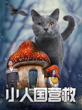 国产成人亚洲综合网站不卡
