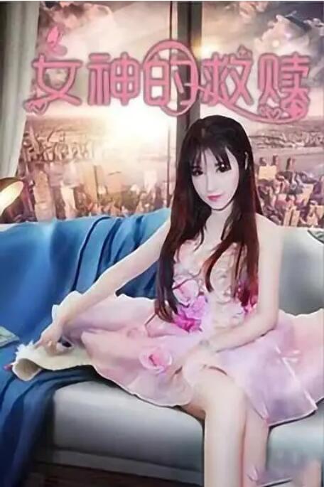 高清不卡在线观看