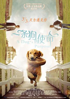 五月天激情亚洲婷婷在线