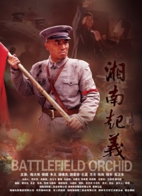 91视频最新