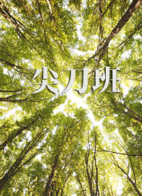 国产999精品久久久影片官网
