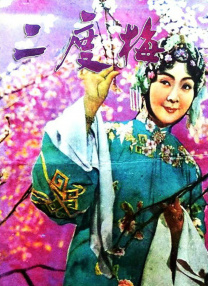 视频泄露